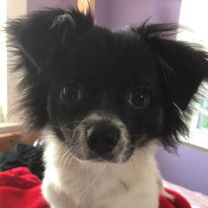 Meet your Posher, Blanca